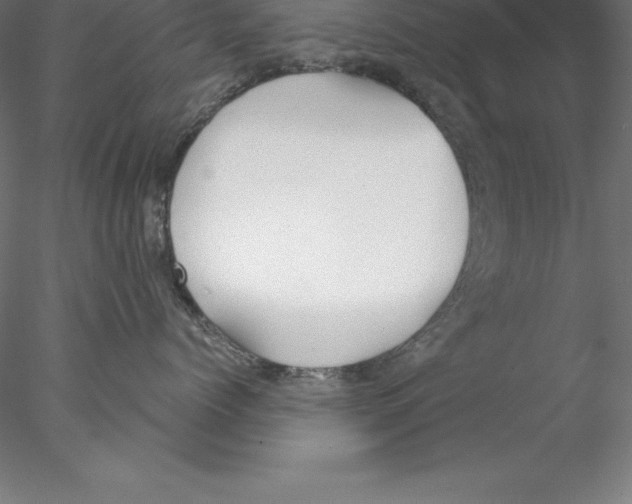 X0000076410768200611031747