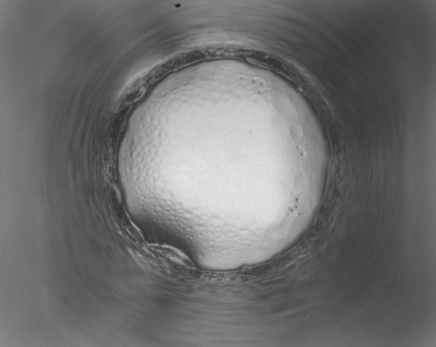 X0000076410775200611031746