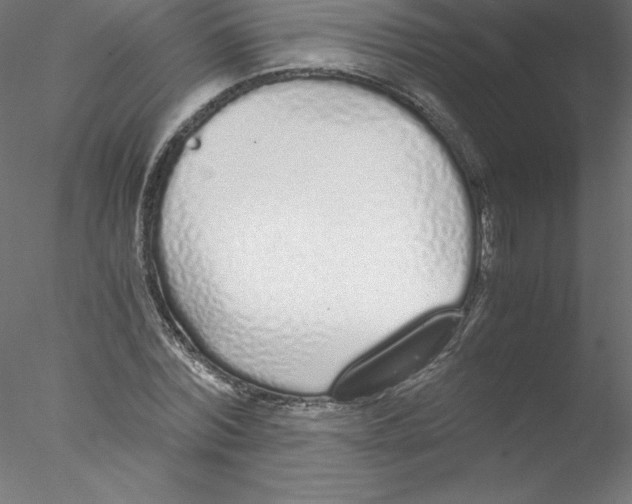 X0000076410780200611031746