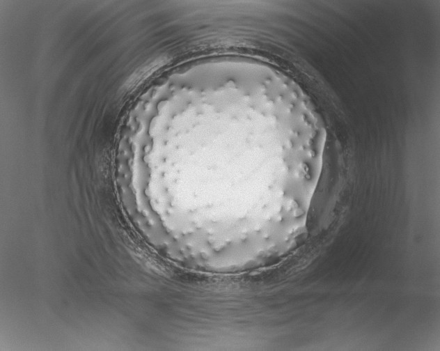X0000076410785200611031746