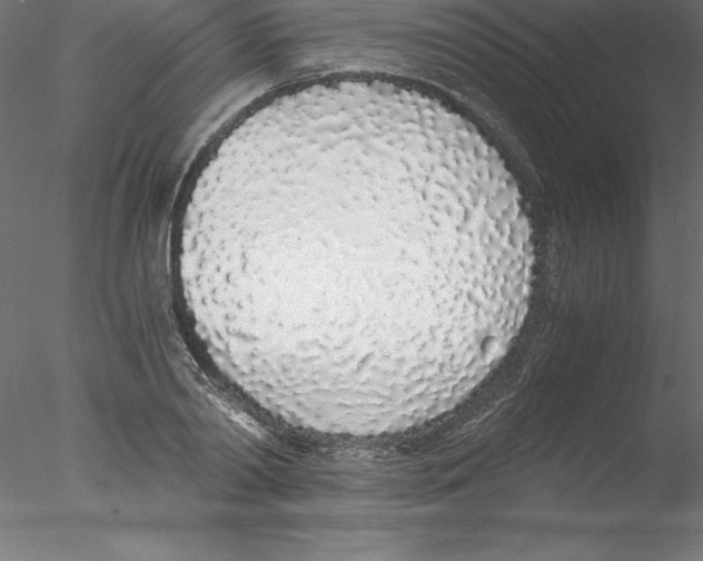 X0000076410790200611031746