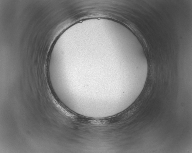 X0000076410805200611031746