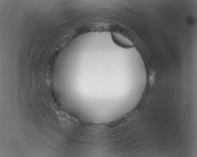 X0000076410819200611031745