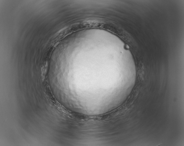 X0000076410821200611031745