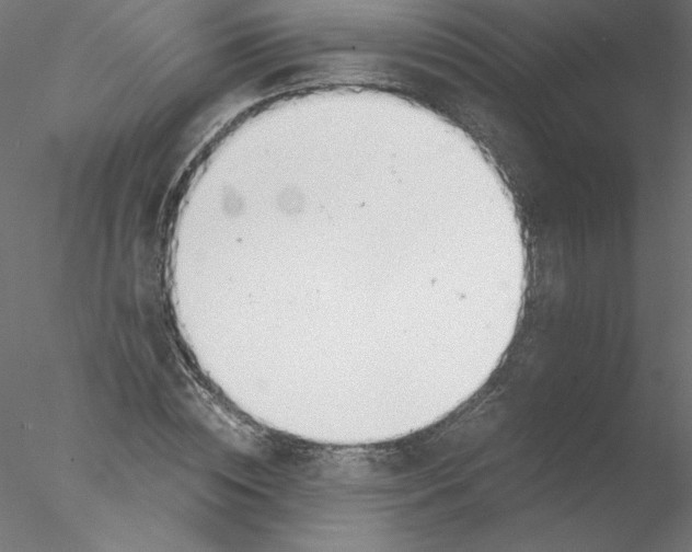 X0000076410828200611031745