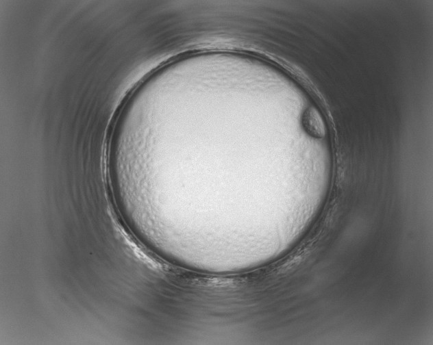 X0000076410839200611031745