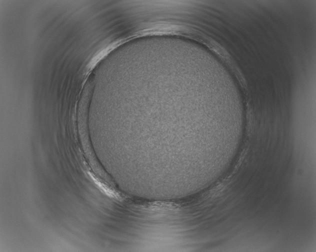 X0000076410842200611031745