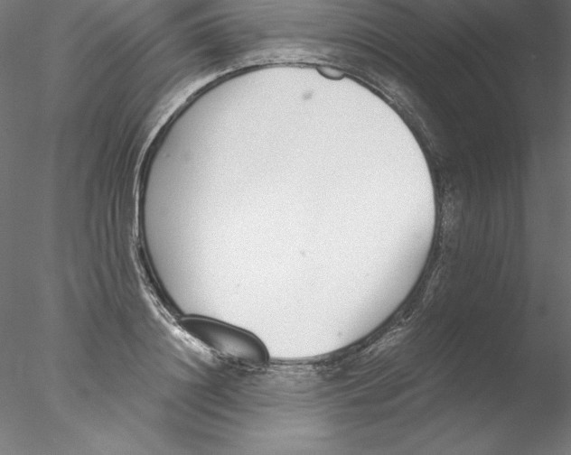 X0000076410844200611031745