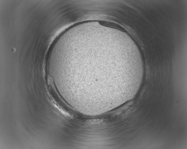 X0000076410846200611031745