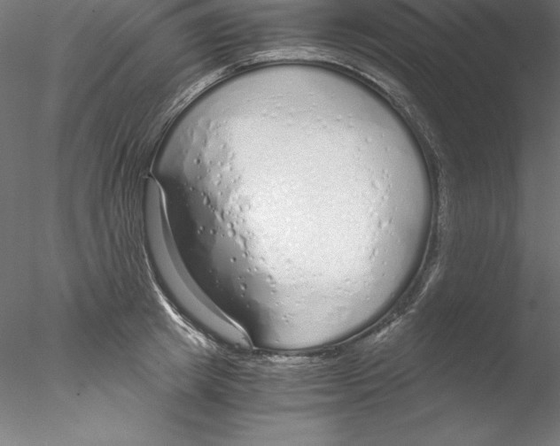 X0000076410849200611031746