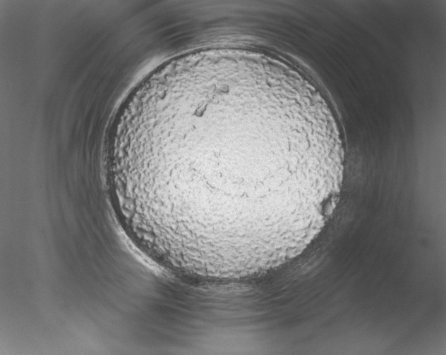 X0000076410851200611031746