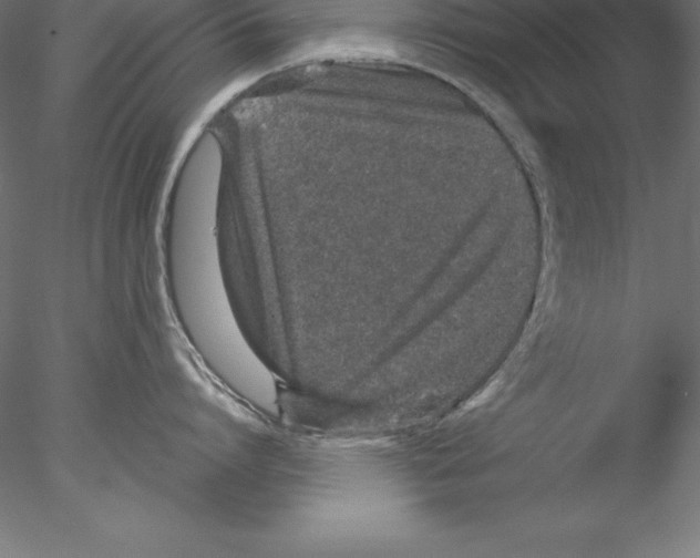 X0000076410864200611031746
