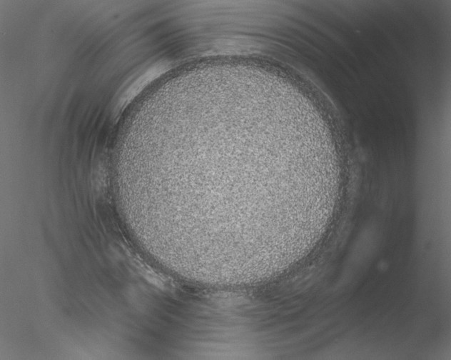 X0000076410874200611031745