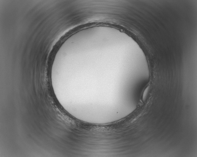 X0000076410880200611031745