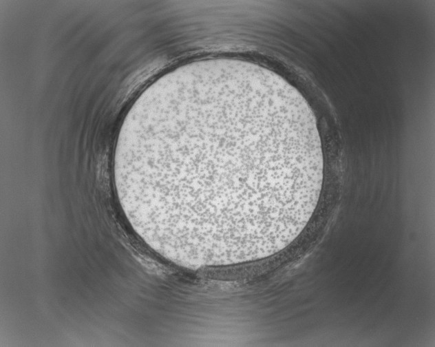 X0000076410881200611031745