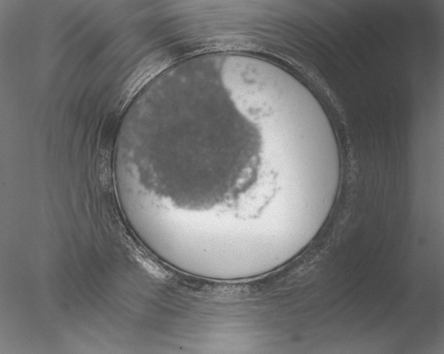 X0000076410889200611031745