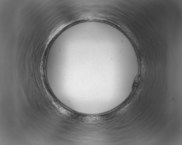 X0000076410893200611031745