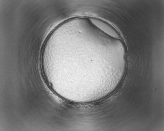 X0000076410895200611031744