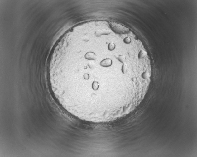 X0000076410899200611031744