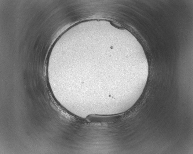 X0000076410900200611031744