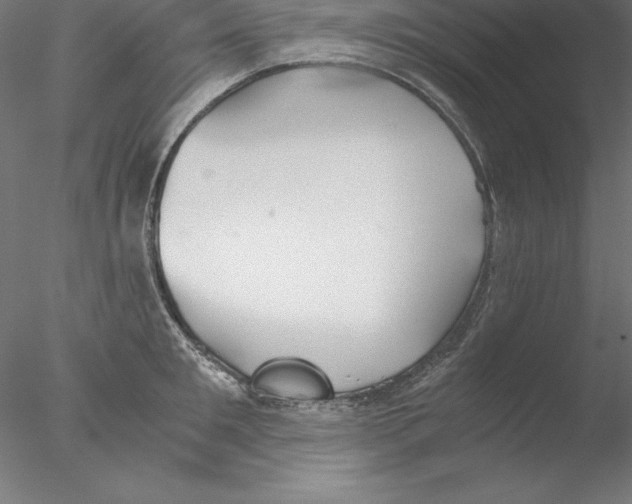 X0000076410901200611031744