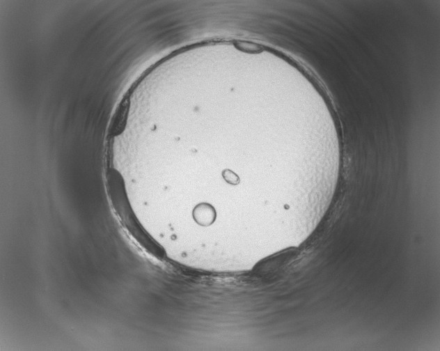 X0000076410903200611031744