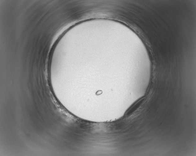 X0000076410904200611031744