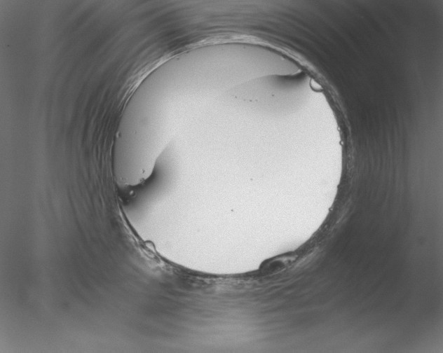 X0000076410905200611031744