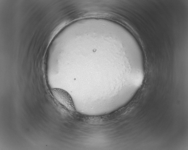 X0000076410907200611031744