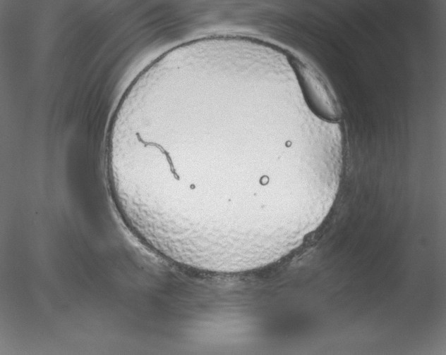 X0000076410911200611031744