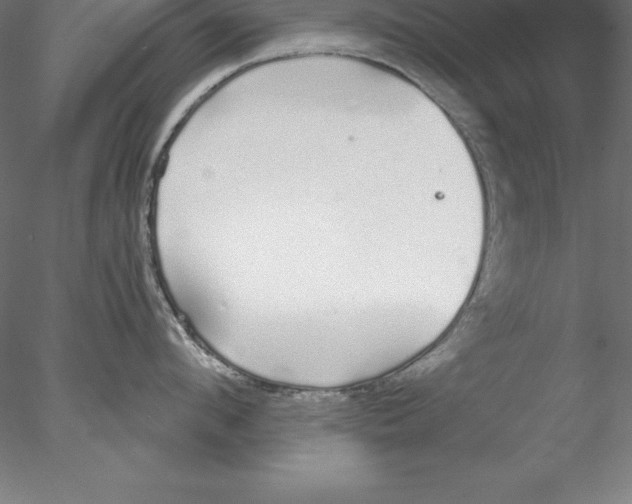 X0000076410912200611031744