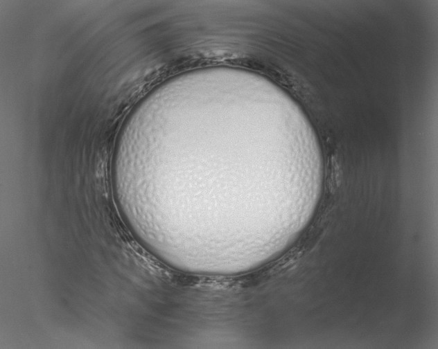 X0000076410917200611031743