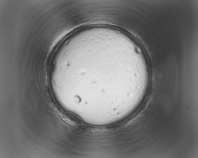 X0000076410925200611031744