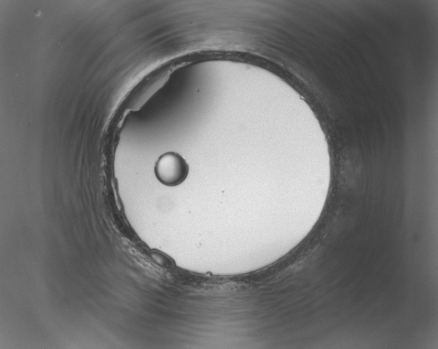 X0000076410926200611031744