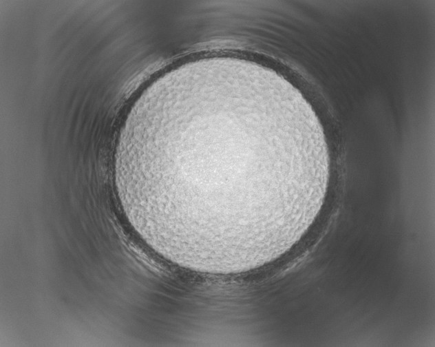 X0000076410929200611031744