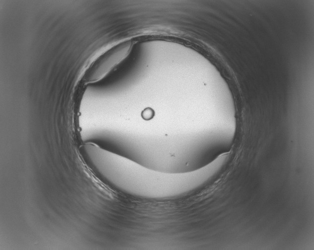 X0000076410931200611031744