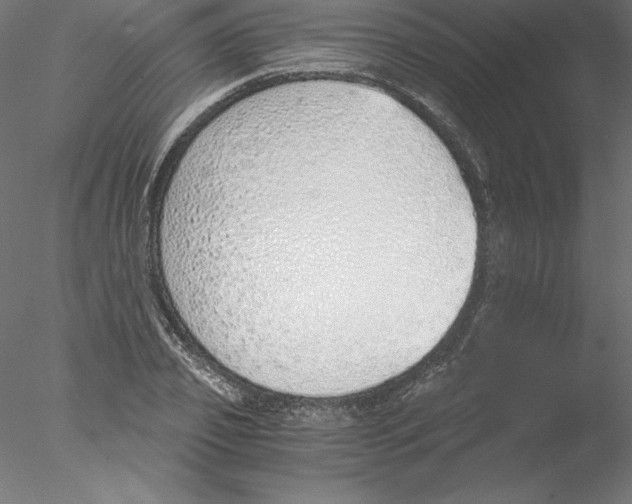 X0000076410933200611031744