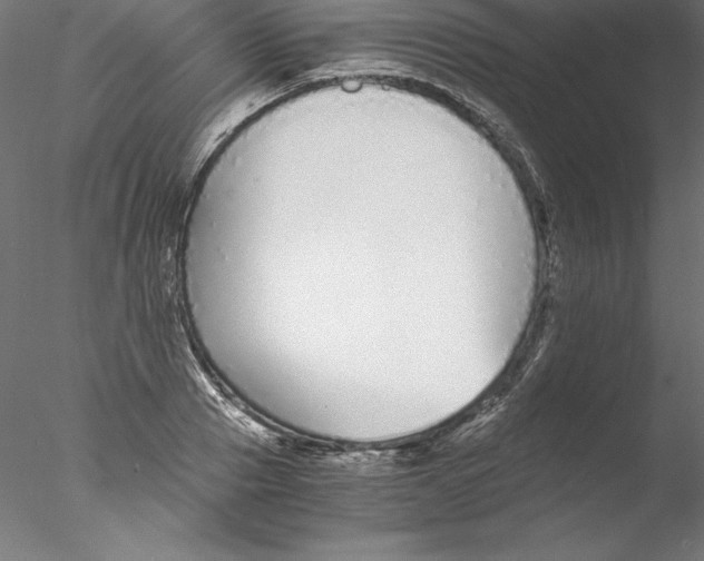 X0000076410937200611031744