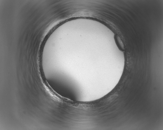 X0000076410942200611031744