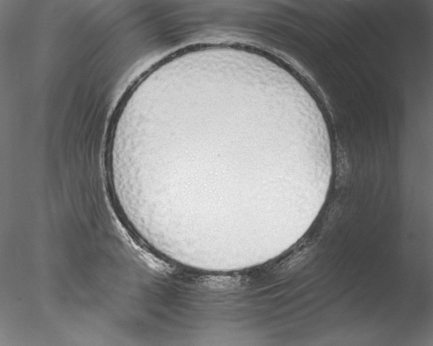 X0000076410943200611031744