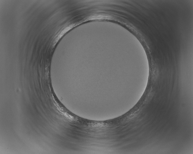 X0000076410945200611031744