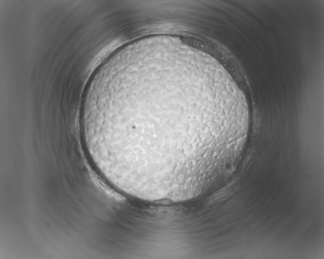 X0000076410946200611031744