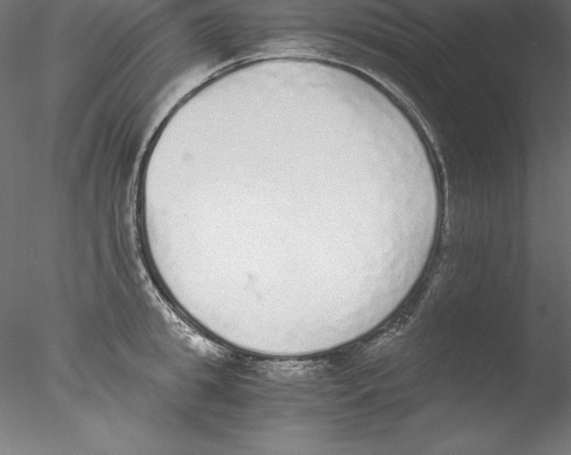 X0000076410949200611031744