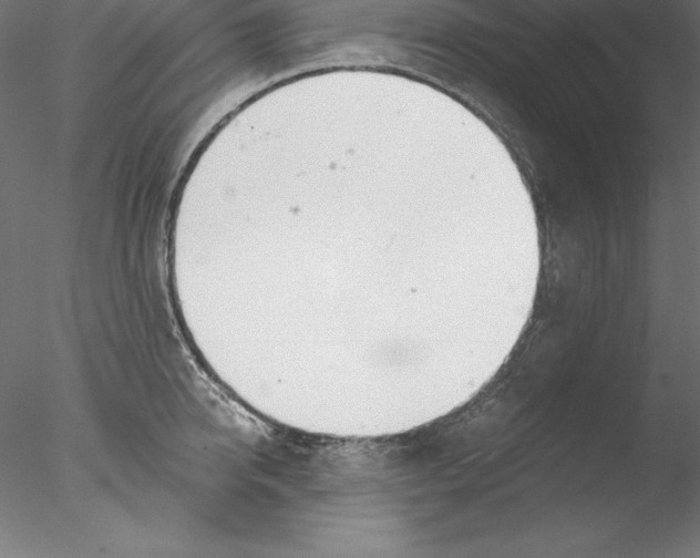 X0000076410950200611031744