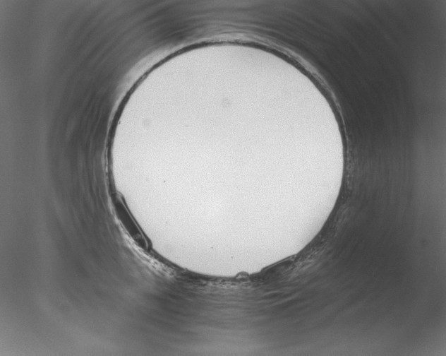 X0000076410951200611031744