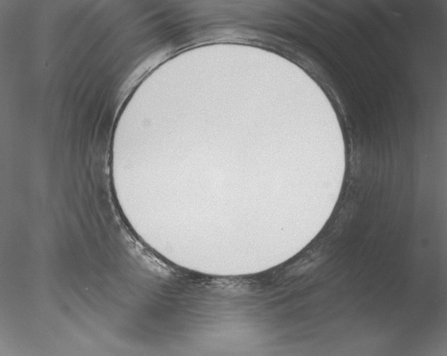 X0000076410954200611031744