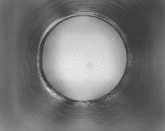 X0000076410955200611031744