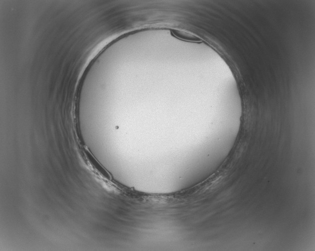 X0000076410956200611031744