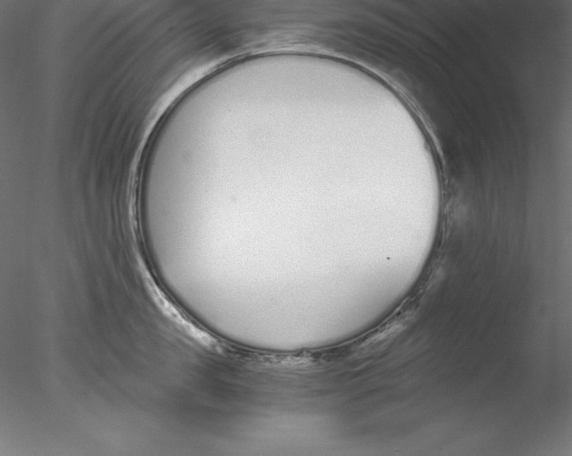 X0000076410957200611031744