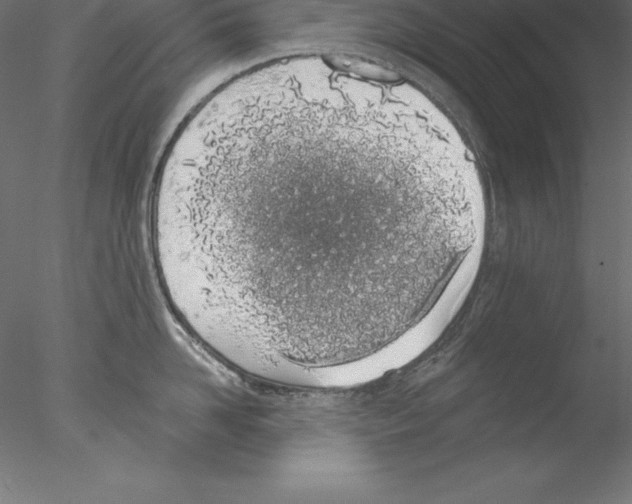 X0000076410958200611031744